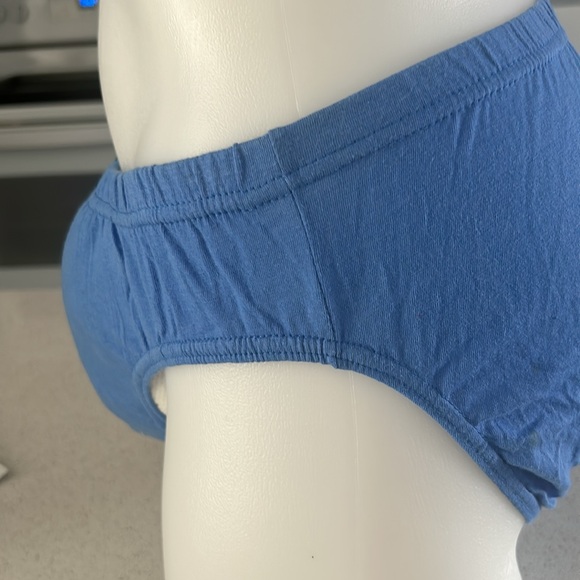 Hanes Premium Original fit sport Breifs 7 pack - Picture 4 of 11